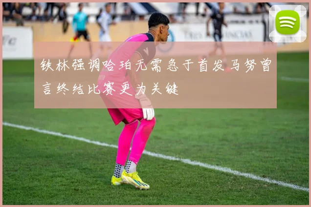 铁林强调哈珀无需急于首发马努曾言终结比赛更为关键
