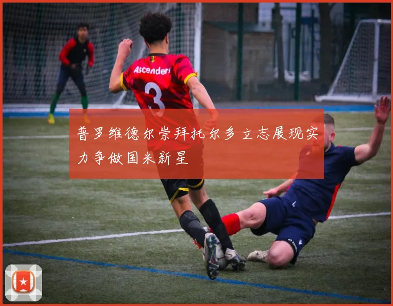 普罗维德尔崇拜托尔多立志展现实力争做国米新星
